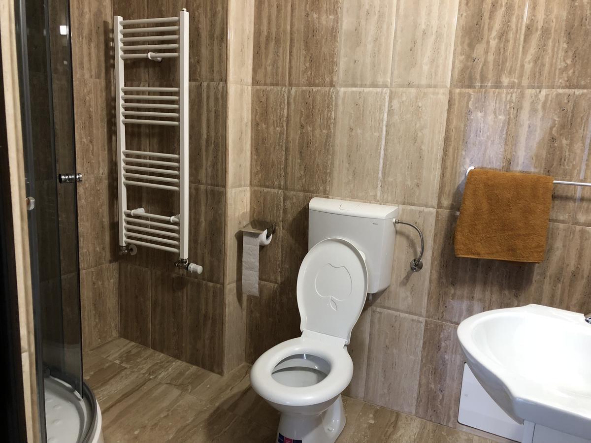Chiscau Pensiunea Mirela Pestera Ursilor מראה חיצוני תמונה